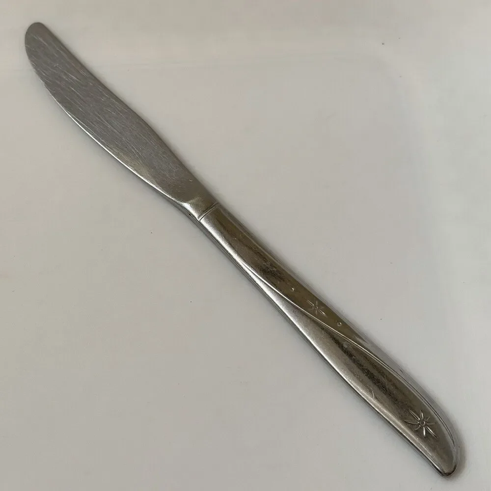 2pc Oneida Twin Star Dinner Fork / Soup Spoon Stainless Community Betty Crocker